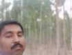 CHEPEST LAND OF 59 ACRES EUCALYPTUS AGRICULTURE LAND FOR SALE