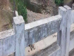 Land for sale near main road