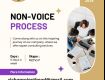 We Are Outsourcing Our Backend Non Voice Projects.