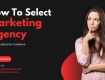 virtualize solutions: best digital marketing agency