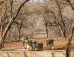 Best offers on Holiday Tour Packages in sasan