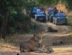 Best offers on Holiday Tour Packages in sasan
