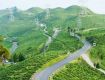 Complete travel planning service to take care of every single need of the customer