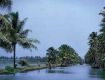 Best Tourism Services with Kerala to provide secure value for your money