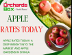 Apple Rates Today