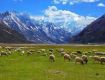 Great holiday packages complete with sightseeing tours For Ladakh