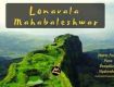 Seasonal trips with best Monsoon Tour packages