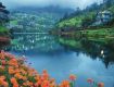 Enjoy with your kids at wildlife tour packages Udaipur