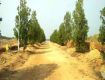 500 Sq Yd Residential Plot In , Shamshabad, Hyderabad