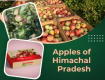 Apples of Himachal Pradesh