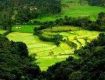 An opportunity to get best services for  Coorg Hotels.