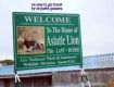 Monsoon trips Tour packages for sasan  forest in gujarat