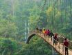 Great holiday packages complete with sightseeing tours For Meghalaya