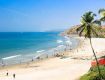 Customizes the tours according to the customers needs & requirement in goa