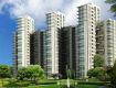 1 BHK 425 Sq Ft Studio Apartment In Jaypee Greens Moon Court, Pari Chowk, Greater Noida