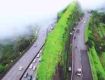 Honeymoon Tour Packages to reach sky with your dreams lonavala
