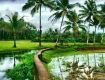 Enjoy with your kids at Wildlife Tour packages in Kerela