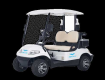 2 Seater Electric Golf Cart