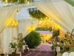 Trusted Wedding Planner in Lucknow for Dream Weddings Trusted Wedding Planner in Lucknow for Dream Weddings