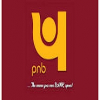 PNB Technical Officer Interview Admit Card 2019