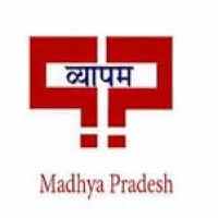 MP Middle School Teacher Admit Card 2019